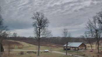 Weather camera view of Dodon Vineyards.