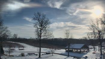 Weather camera view of Dodon Vineyards.