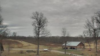 Weather camera view of Dodon Vineyards.