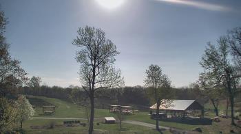 Weather camera view of Dodon Vineyards.