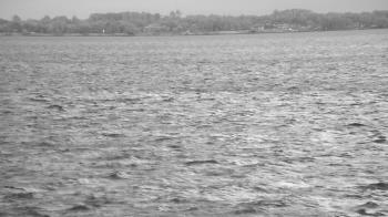 Weather camera view of Florida Yacht Club.