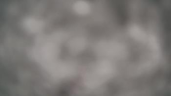 Weather camera view of Gillette Stadium.