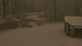 Weather camera view of Wildwood Park.