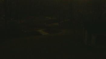 Weather camera view of Wildwood Park.