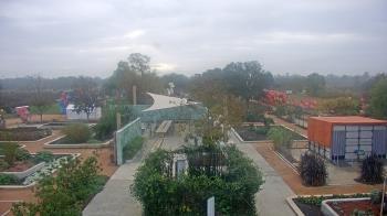 Weather camera view of Houston Botanic Garden.
