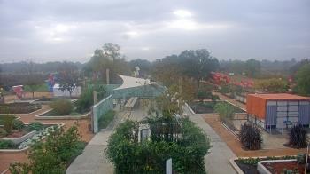 Weather camera view of Houston Botanic Garden.