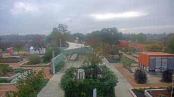 Weather camera view of Houston Botanic Garden.