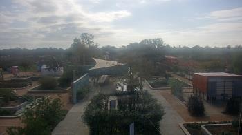 Weather camera view of Houston Botanic Garden.