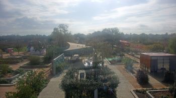Weather camera view of Houston Botanic Garden.