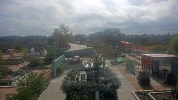 Weather camera view of Houston Botanic Garden.