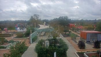 Weather camera view of Houston Botanic Garden.