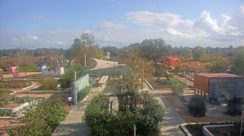 Weather camera view of Houston Botanic Garden.