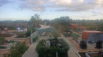 Weather camera view of Houston Botanic Garden.