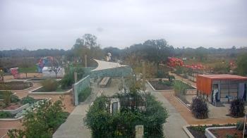 Weather camera view of Houston Botanic Garden.