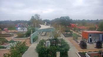 Weather camera view of Houston Botanic Garden.