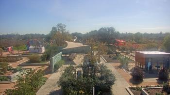 Weather camera view of Houston Botanic Garden.