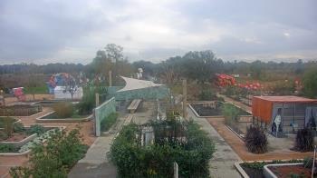 Weather camera view of Houston Botanic Garden.