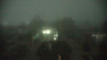 Weather camera view of Houston Botanic Garden.