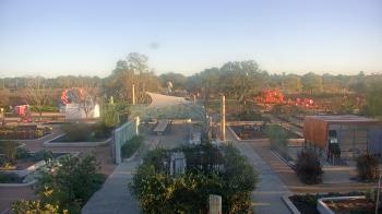 Weather camera view of Houston Botanic Garden.