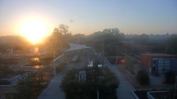 Weather camera view of Houston Botanic Garden.