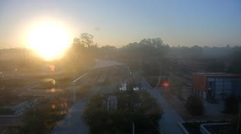 Weather camera view of Houston Botanic Garden.