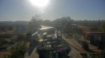 Weather camera view of Houston Botanic Garden.