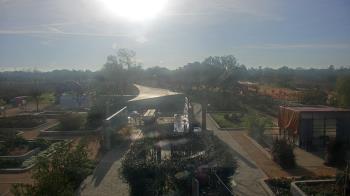 Weather camera view of Houston Botanic Garden.