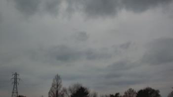 Weather camera view of Woodmere MS.