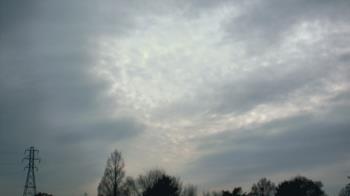 Weather camera view of Woodmere MS.