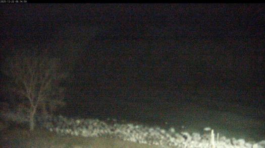 Weather camera view of Carthage College.