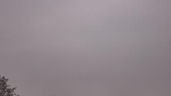 Weather camera view of The Lamplighter School.