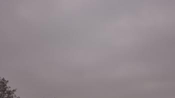 Weather camera view of The Lamplighter School.