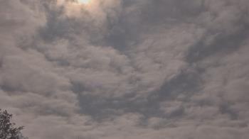 Weather camera view of The Lamplighter School.