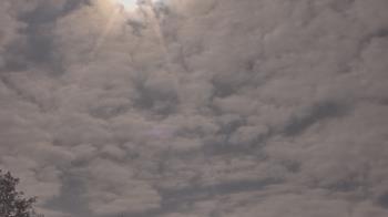 Weather camera view of The Lamplighter School.