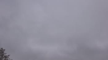 Weather camera view of The Lamplighter School.