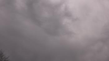 Weather camera view of The Lamplighter School.