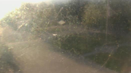 Weather camera view of City of League City Fire Station 4.