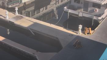 Weather camera view of Lake Powell Resorts and Marinas - Wahweap Marina.