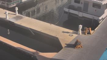 Weather camera view of Lake Powell Resorts and Marinas - Wahweap Marina.