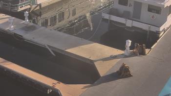 Weather camera view of Lake Powell Resorts and Marinas - Wahweap Marina.