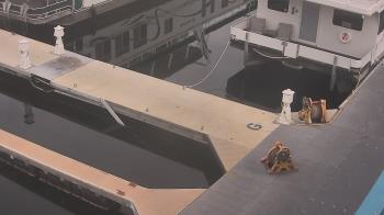 Weather camera view of Lake Powell Resorts and Marinas - Wahweap Marina.