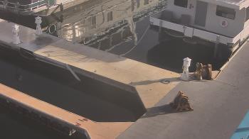 Weather camera view of Lake Powell Resorts and Marinas - Wahweap Marina.