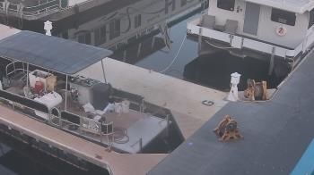 Weather camera view of Lake Powell Resorts and Marinas - Wahweap Marina.