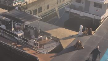 Weather camera view of Lake Powell Resorts and Marinas - Wahweap Marina.