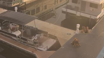 Weather camera view of Lake Powell Resorts and Marinas - Wahweap Marina.