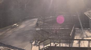 Weather camera view of Lake Roland Nature Council.