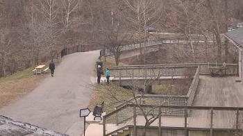 Weather camera view of Lake Roland Nature Council.
