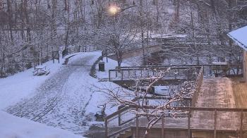 Weather camera view of Lake Roland Nature Council.