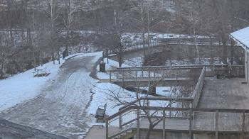 Weather camera view of Lake Roland Nature Council.