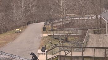 Weather camera view of Lake Roland Nature Council.